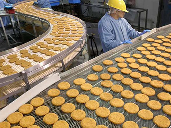 Food Processing Industries